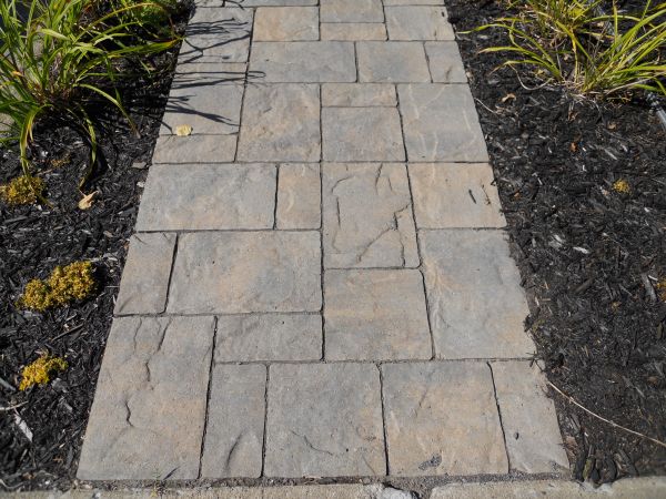 Stamped Concrete Staining in Lake Stevens