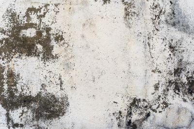 Textured Concrete Service